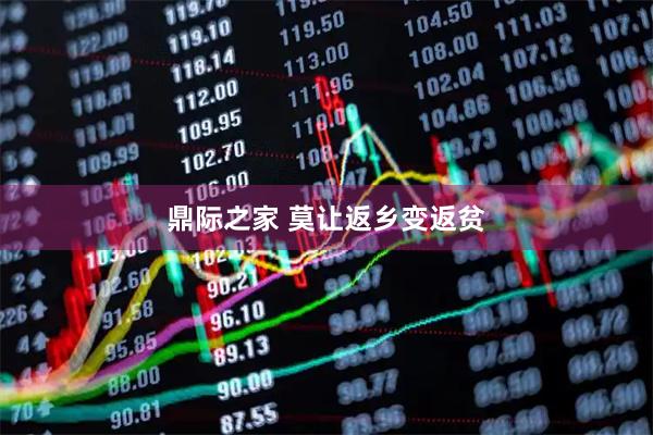 鼎际之家 莫让返乡变返贫