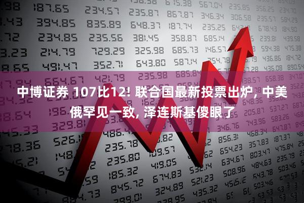 中博证券 107比12! 联合国最新投票出炉, 中美俄罕见一致, 泽连斯基傻眼了