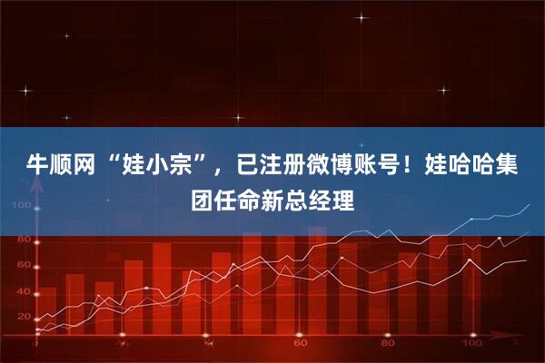 牛顺网 “娃小宗”，已注册微博账号！娃哈哈集团任命新总经理