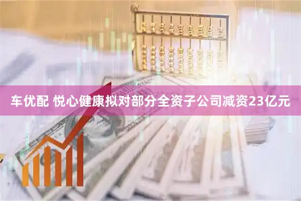 车优配 悦心健康拟对部分全资子公司减资23亿元